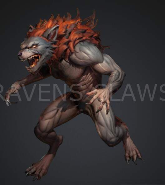 Werewolf Human