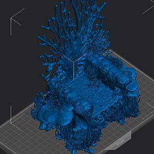 Ocean_Coral_Throne-a