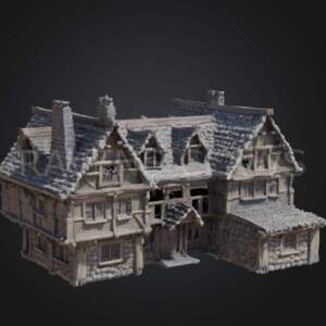 Tudor Style House